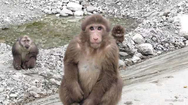 卧龙谷银厂沟,银厂沟两山合拢现状