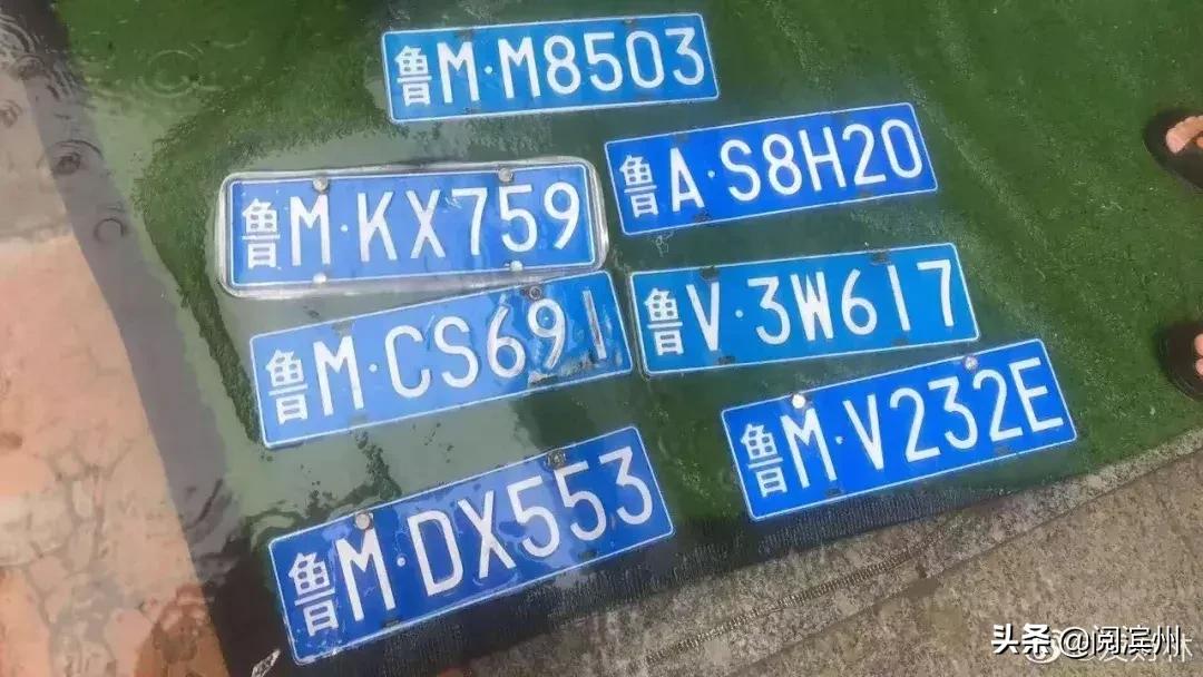 【滨州车牌汇总贴】已收录96个，你丢的都在这里了！