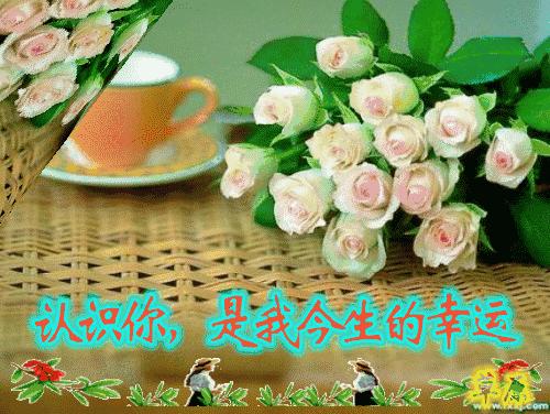 最美早晨问候祝福语图,早晨问候早上好暖心句子图片