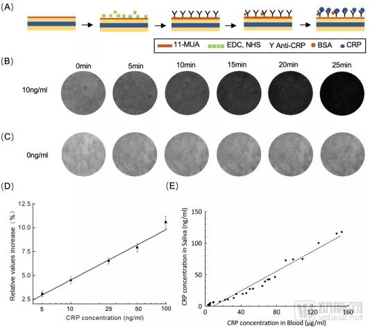 近30亿潜在市场规模，新一代SPR技术检测平台市场研究报告