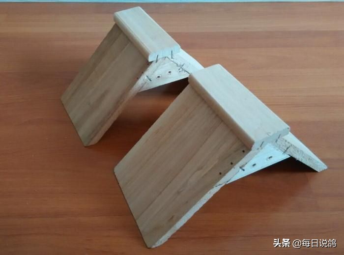 鸽舍建造及注意事项,鸽舍里面需要有什么