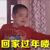 回家过年你们都买了什么,今年过年大家都准备买啥了