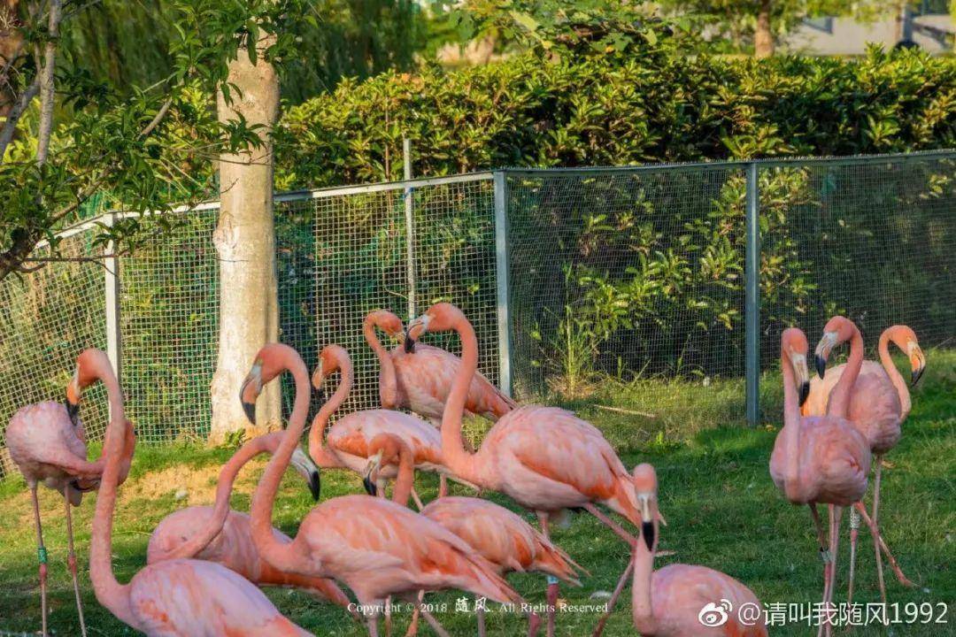 初春南京一日游攻略导图,南京秋景一日游的攻略