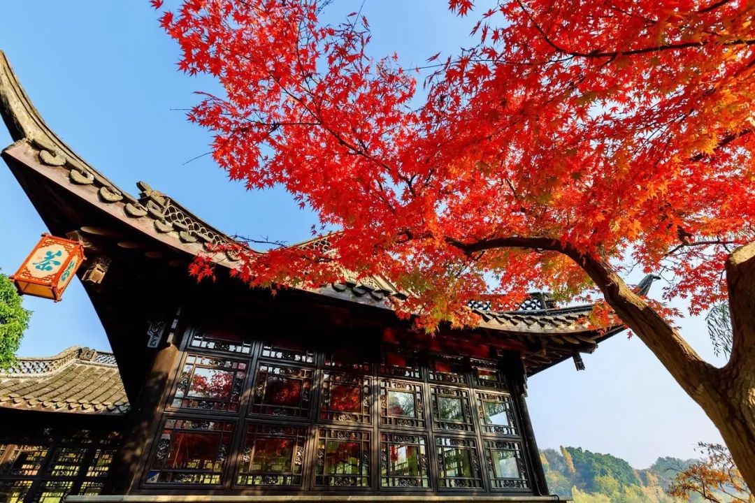 被严重低估的江苏成绩,扬州被严重低估的城市