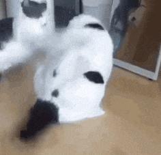 高铁上一位阿姨,高铁40岁老阿姨踢我怎么办