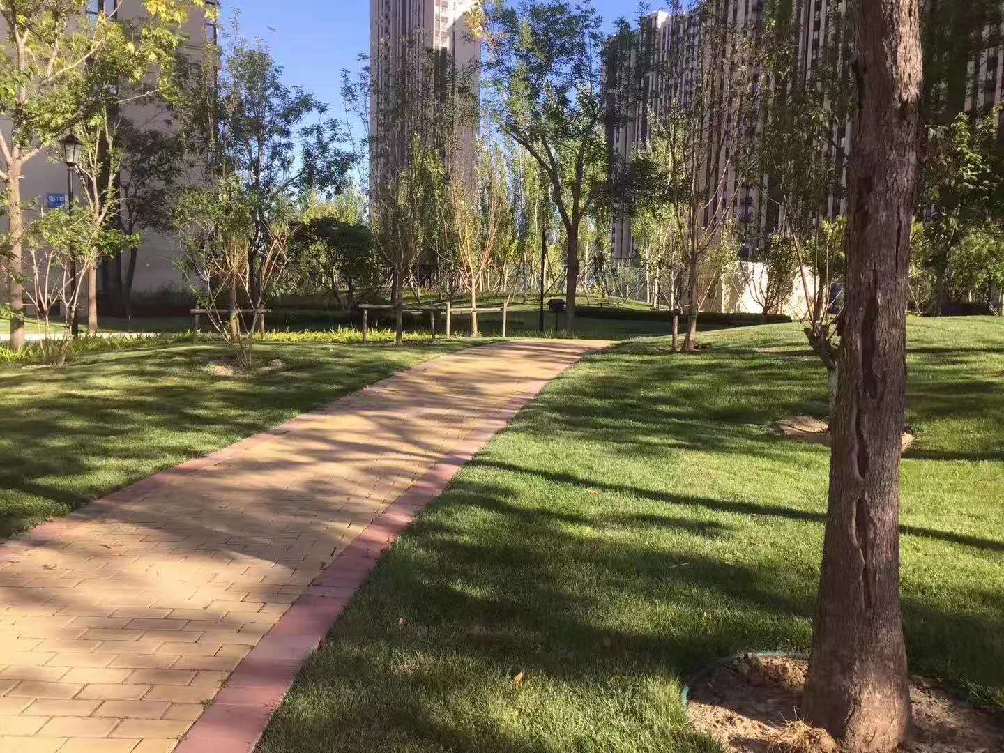 北京东二环富力城,北京副中心富力城