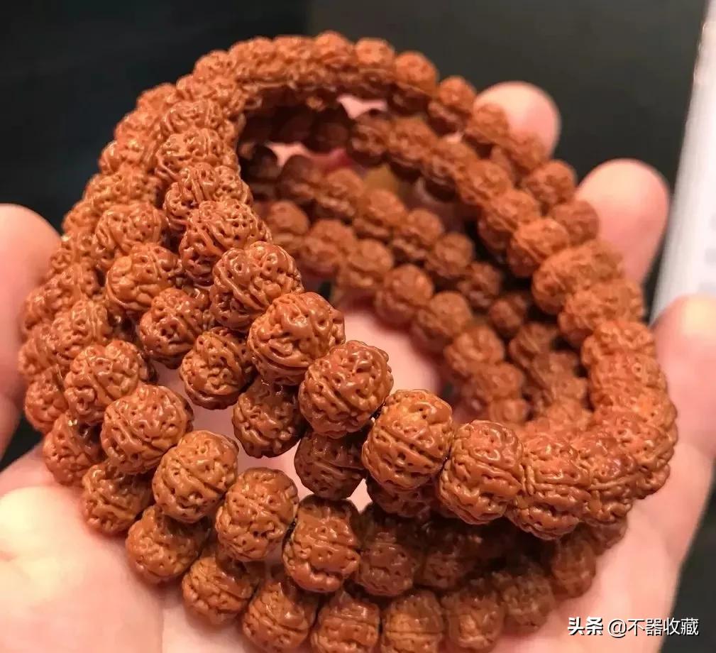 盘花的正确养法,如何避免盘花