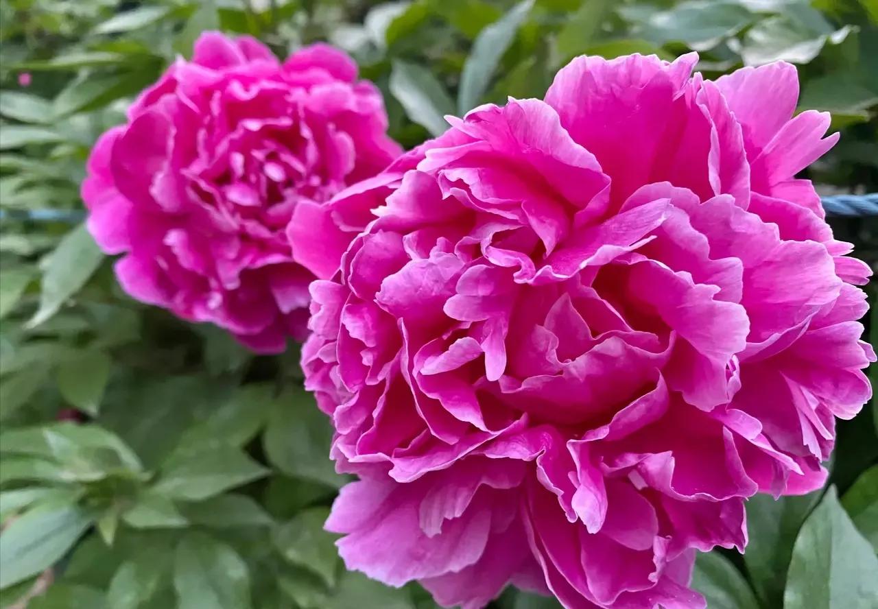 格力电器入场时机,格力电器是怎样一个公司