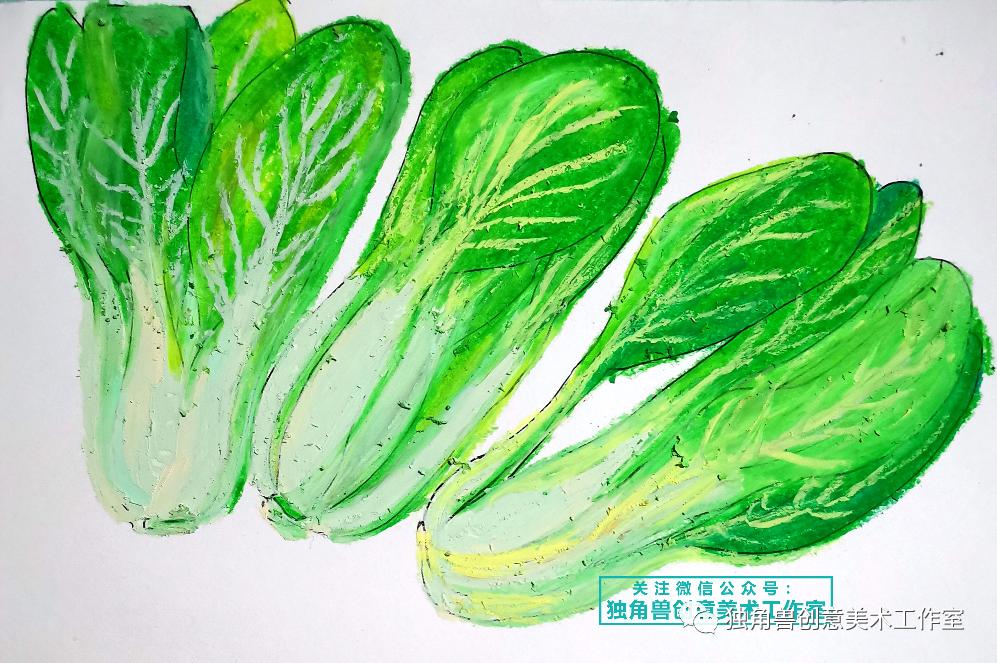 绿油油青菜绘画,蔬菜的绘画教程