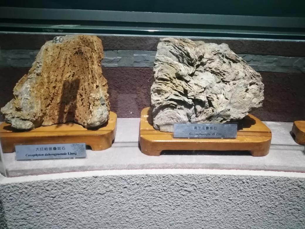 去天津蓟州旅游攻略,跟着书本去旅行蓟州