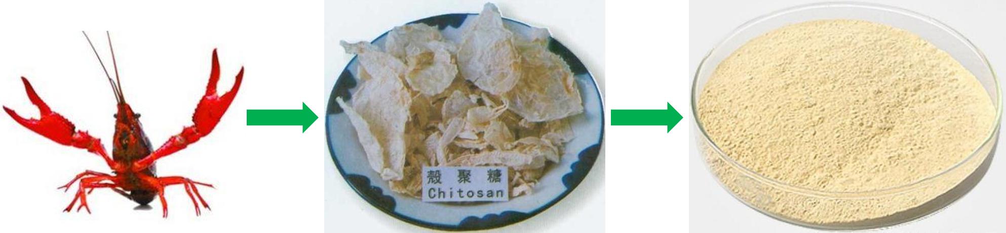 美食→生物材料|小龙虾和螃蟹→伤口敷料