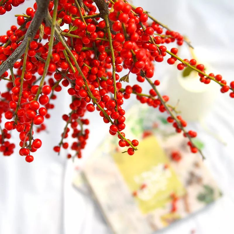 过年家里必摆的九道菜,过年家里摆的喜庆的物件