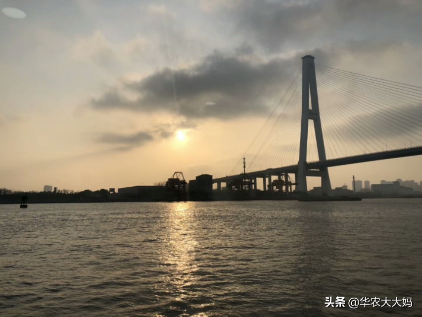 曼谷钓记,曼谷游记骑大象