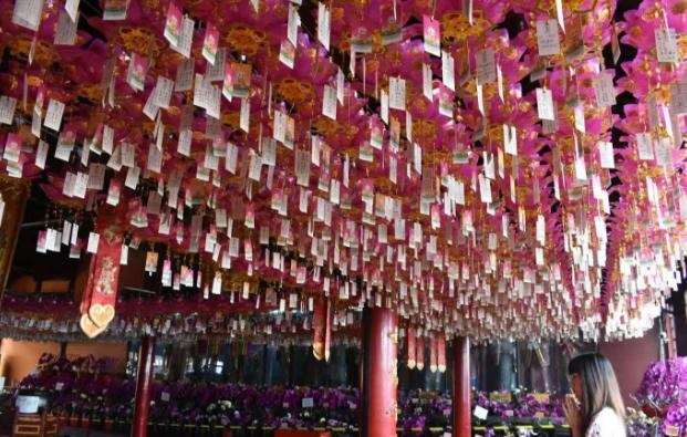 南京网红鸡鸣寺打卡景点,南京鸡鸣寺打卡