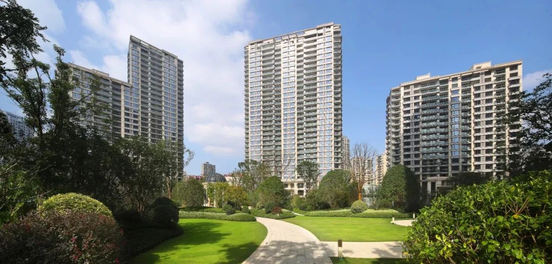 万株郁金香春天,一百万株郁金香