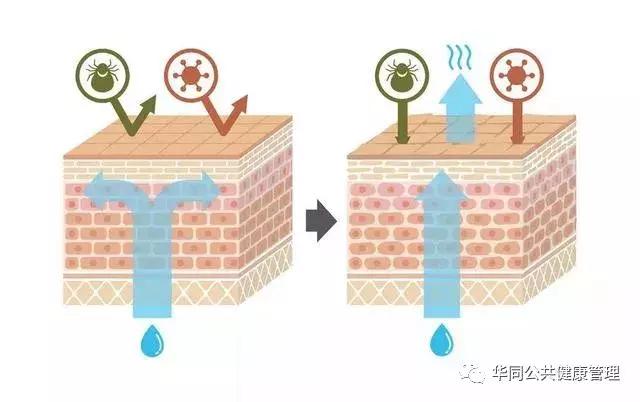 身体太干净了反而易得病,身体这处有变化要警惕疾病