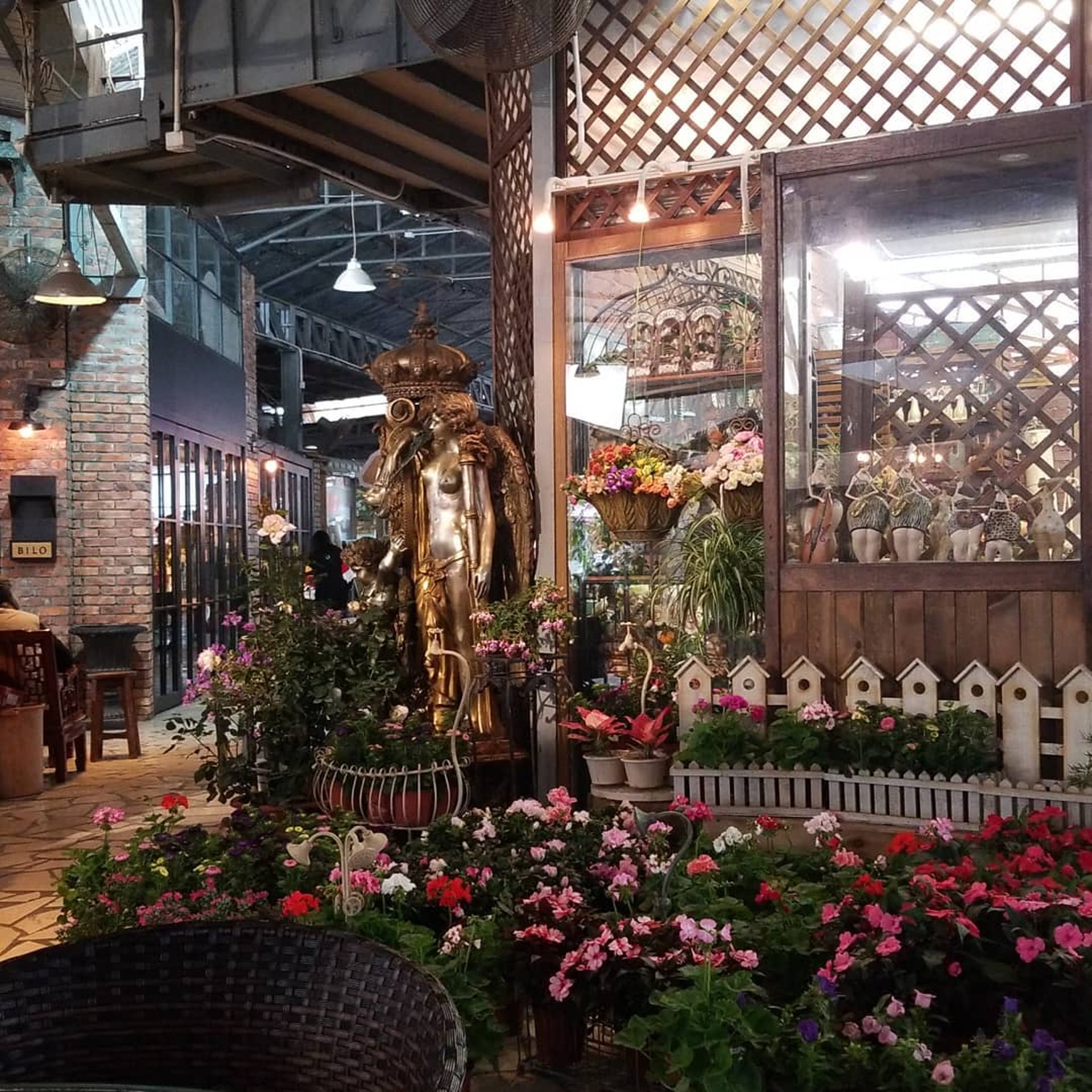 百年树屋，天空之镜，红砖市集，跳蚤市场…尽在锦田