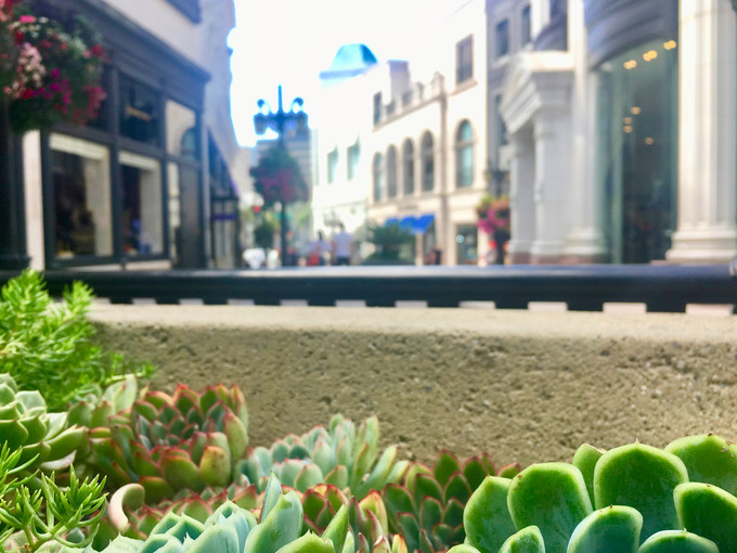 来洛杉矶一定要做的几件事,去洛杉矶要注意什么