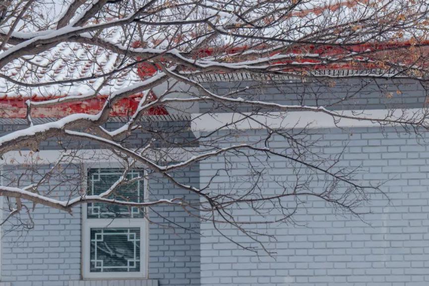 “你在看什么?”“兰大的烟火气”