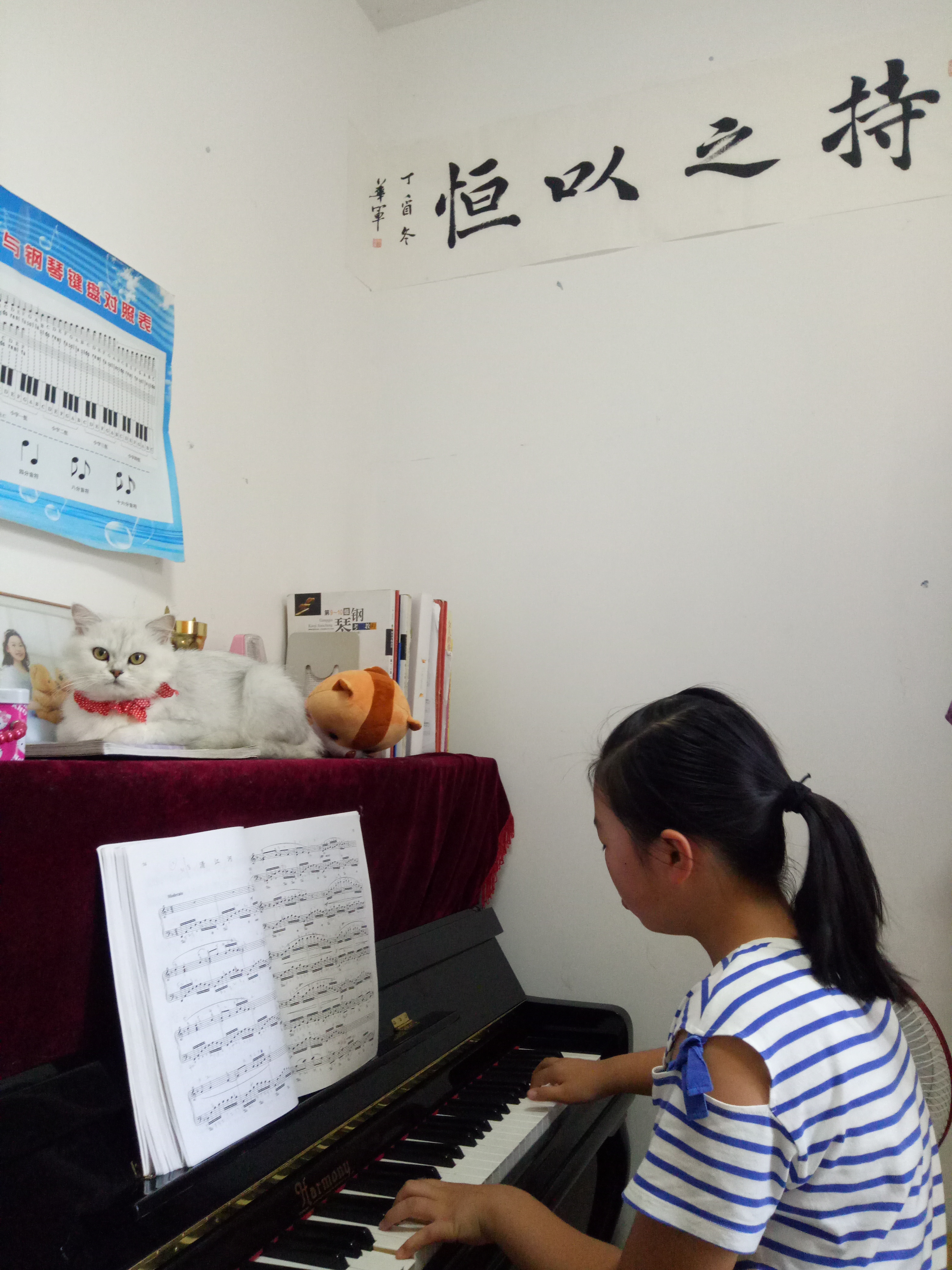 绗ㄧ鐚効绔ュ脊閽㈢惔瑙嗛,绗ㄧ鐚脊閽㈢惔瑙嗛