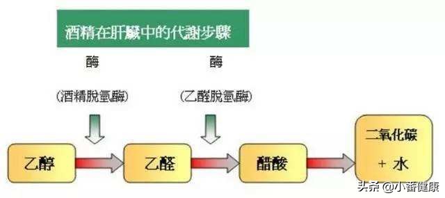 乙肝大三阳怎么保养,乙肝大三阳日常调理