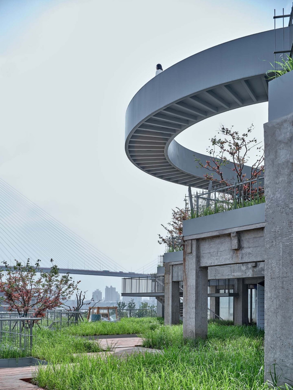 上海打卡的自然风景,上海春天拍照打卡圣地