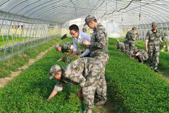 头条企业志第七期|正心教育，让孩子更优秀