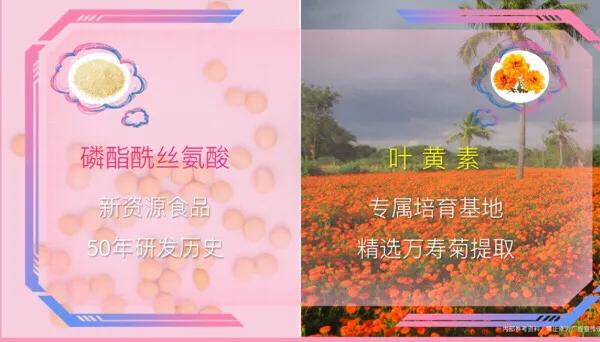 补充胶原蛋白是智商税吗,吃肉皮能补充胶原蛋白吗