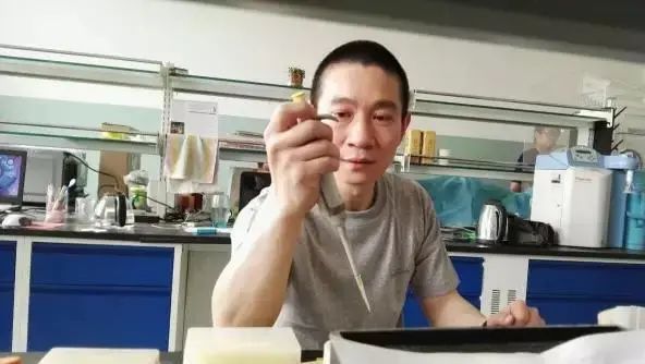 学术不端事件最新消息,学术不端的真实事件