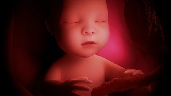 胎儿会“打嗝”?和胎动不一样的震动,又给妈妈传递了哪些信息