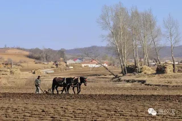 我……把锹插入土中，试探地的墒情。
