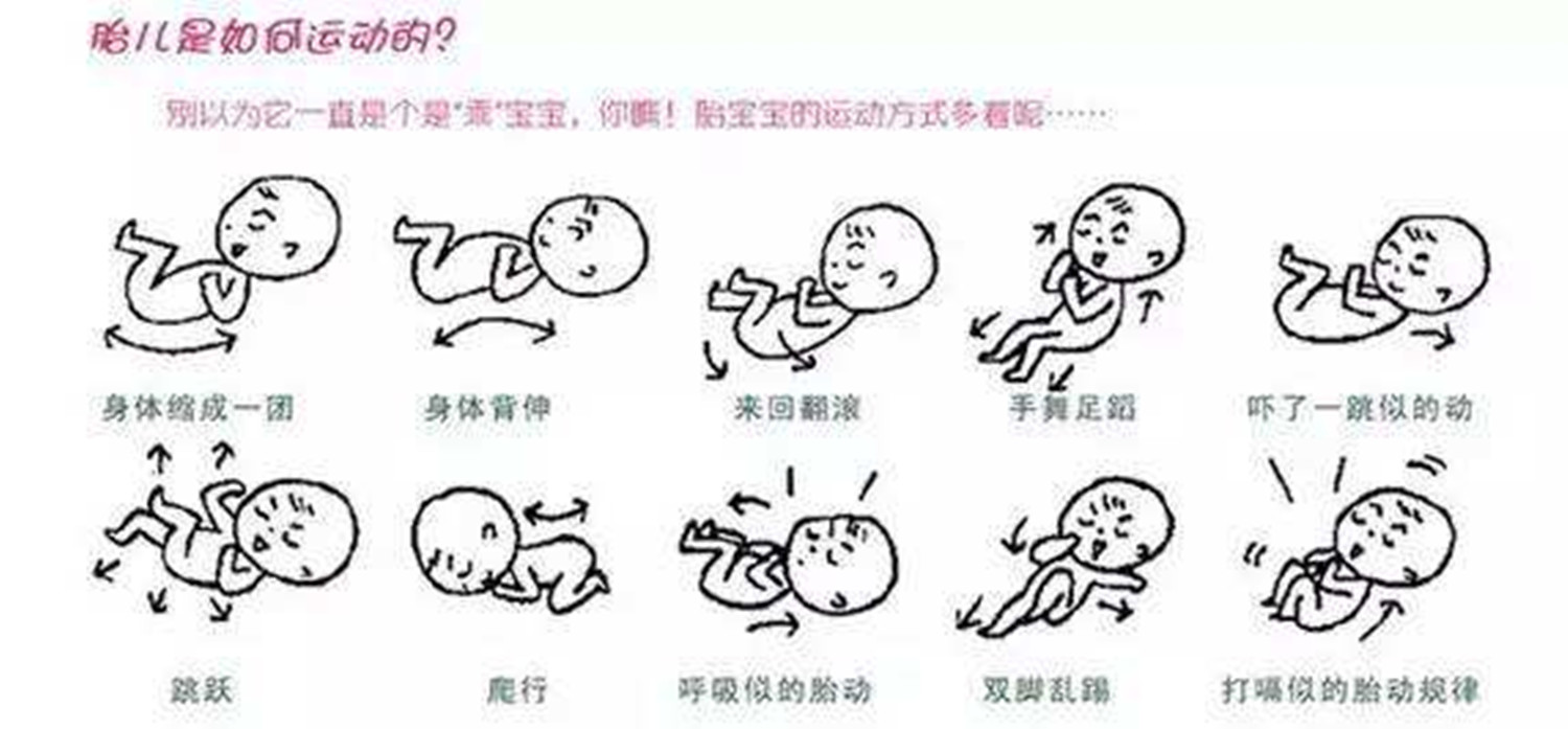 孕期不同阶段胎动规律也不同，了解三个技巧，才能正确数出胎动