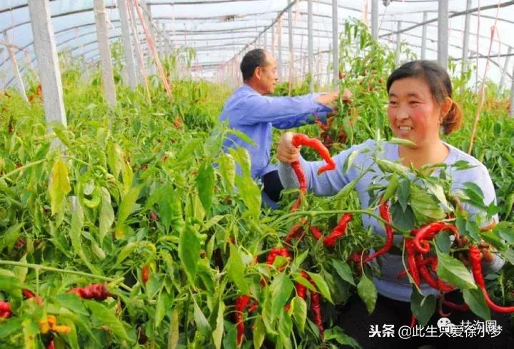 我的家乡，欢迎您来到扶沟！