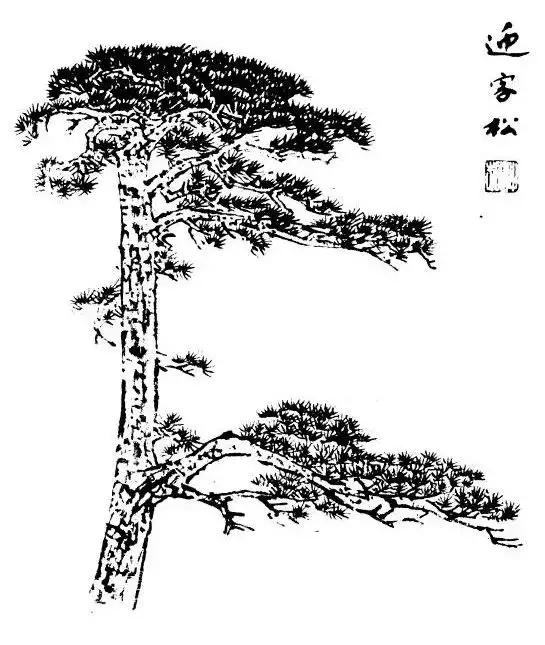 树的画法与表现技巧,树简单素描画