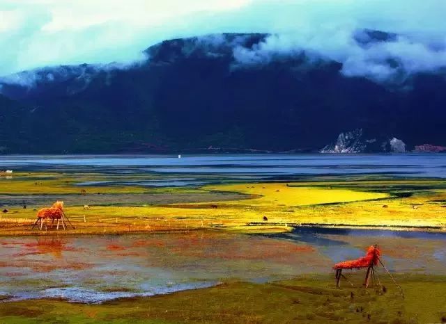 秋天最值得去的四个地方,秋天全部的风景