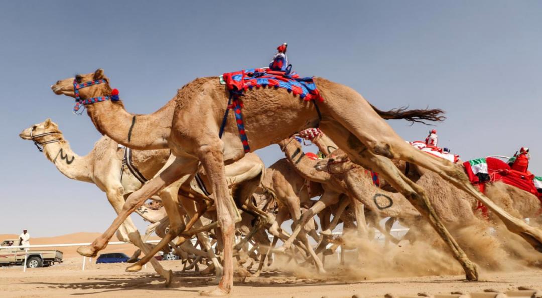 鎴戝湪杩嫓鍘熺増瑙嗛,杩嫓鐨勮禌楠嗛┘