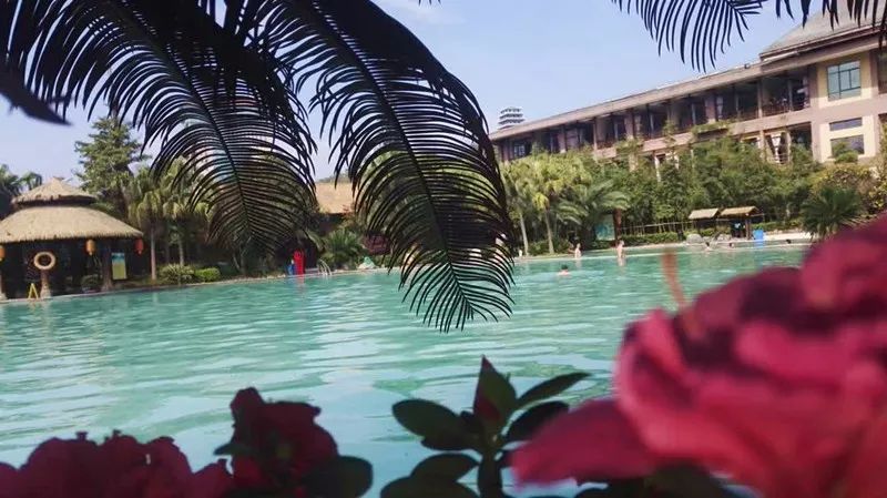 广元民宿推荐,广元青川山谷原舍民宿