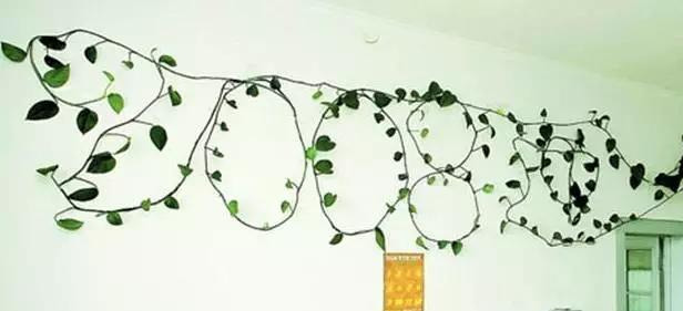 绿萝怎么样做才能好看呢,绿萝如何造型比较好看