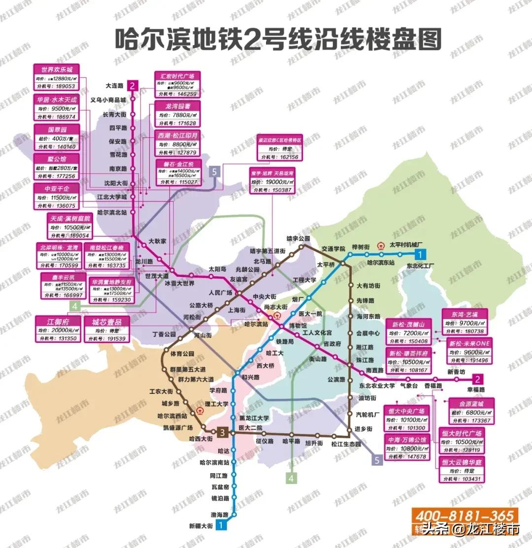 哈东板块与东南板块哪个好,哈东和哈西对比