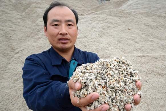 豆粕现在基差这么高怎么办,豆粕质量标准最新