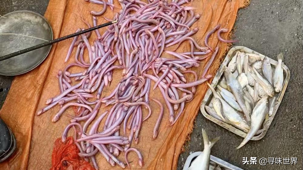 海鱼有哪些人工养殖不了的,不能人工养殖的海鱼市场上有哪些