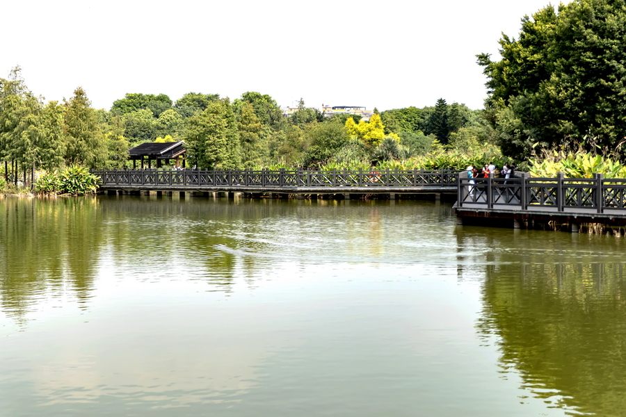 广州人口最密集的越秀区,广州三大区