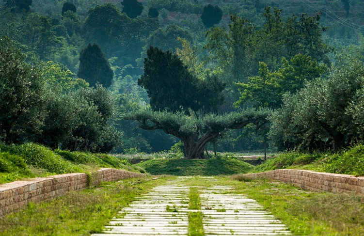 鑱氬嘲璋锋补姗勬,鑱氬嘲璋锋补姗勬浜т笟铻嶅悎鍙戝睍