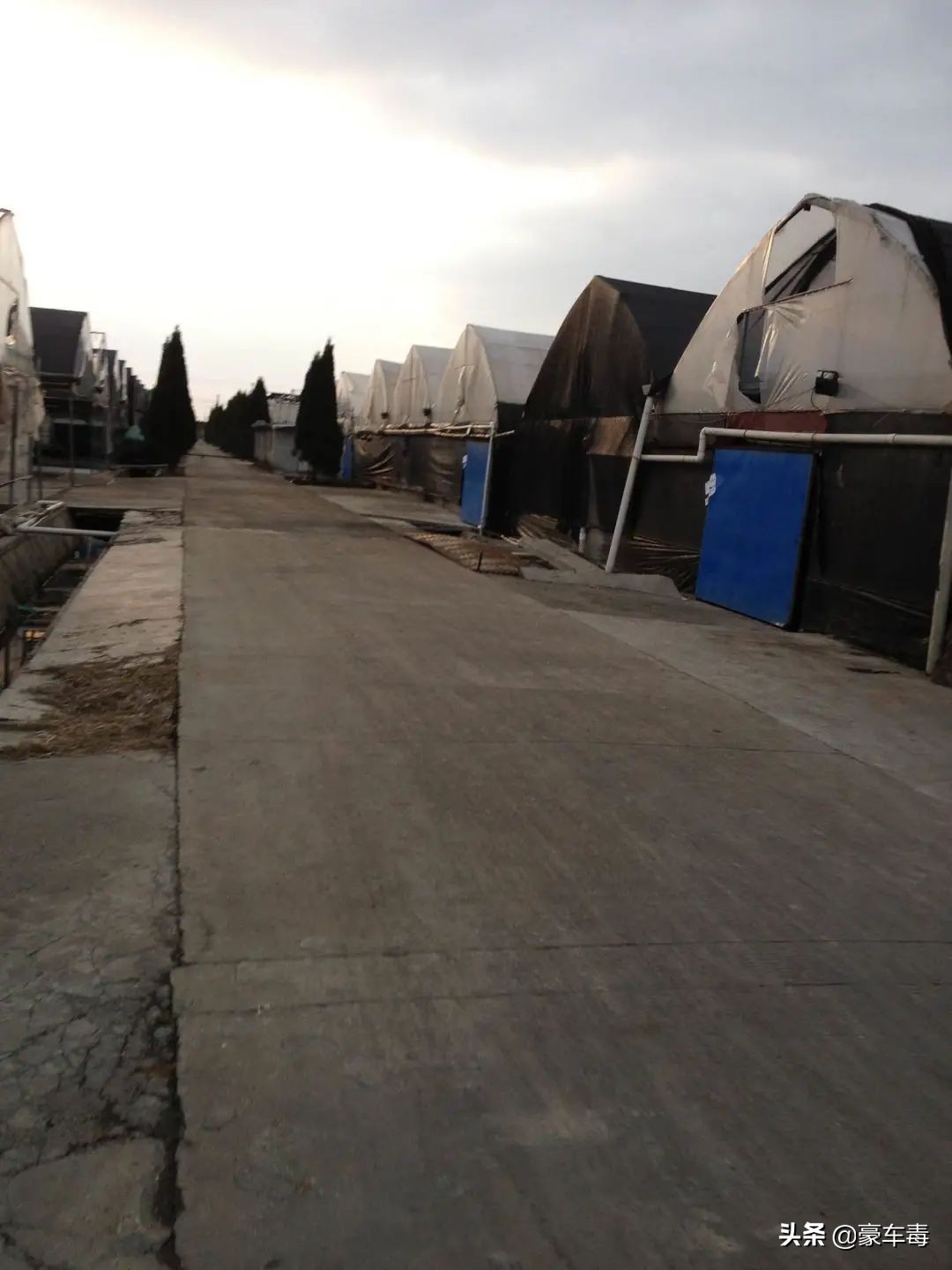 豪车毒老纪考斯特,豪车毒老纪小跟班