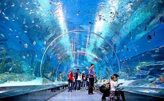 上海景点交通攻略,上海公交车旅游攻略