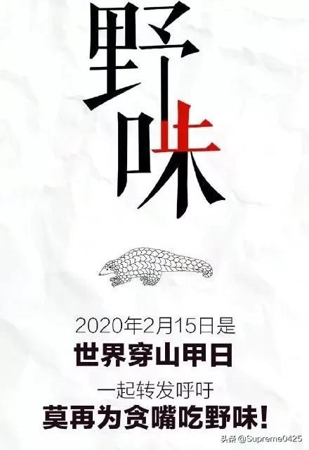 吃野生穿山甲的后果,吃了穿山甲会有什么法律后果