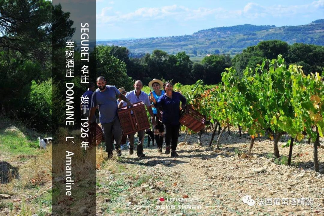 乐品佰馥沂源,乐品佰馥进口