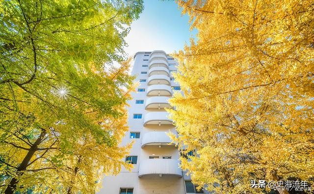 昆明理工排名,昆明理工全国排名多少位