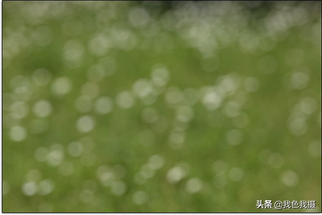 佳能EF600mmf/4LISIIIUSM镜头评测