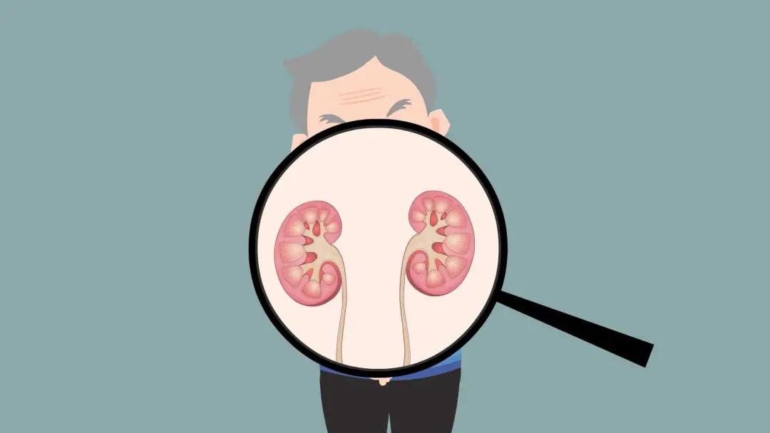 【有肾说甚】肾病综合征一定要用激素治疗吗？